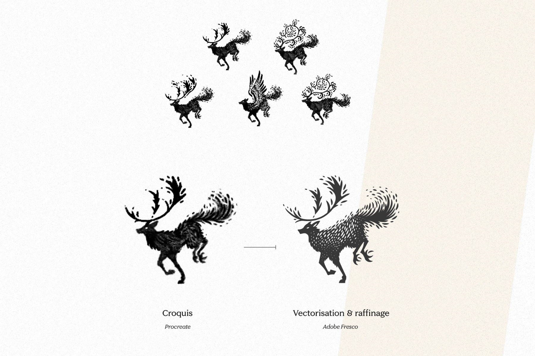 Aline Boussaroque — vue 1