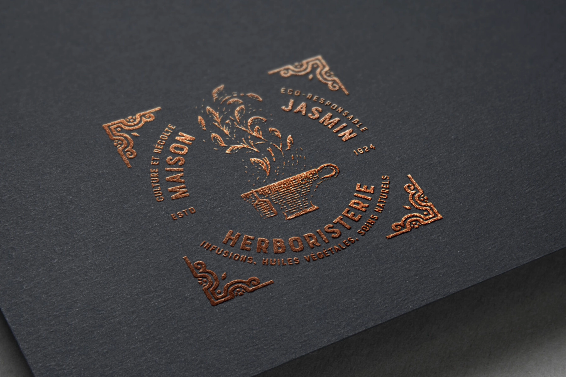 Maison Jasmin — vue 1